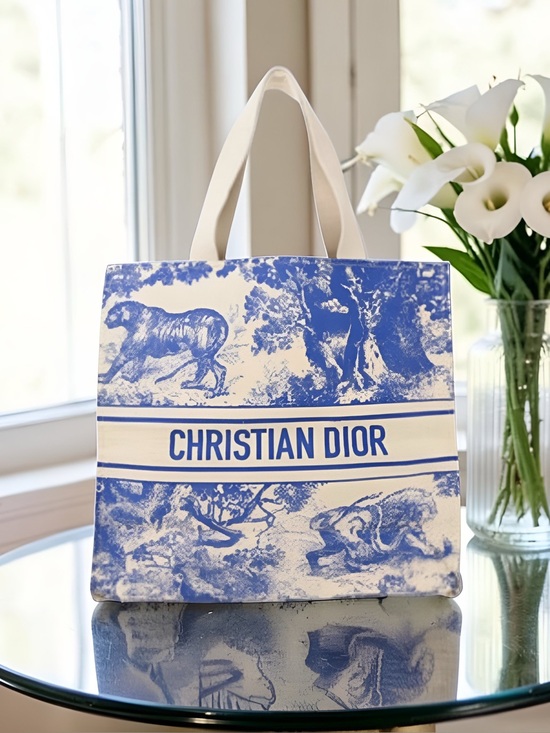 Christian Dior Handbags - NEW Christian Dior Blue Toile De Jouy Print Tote